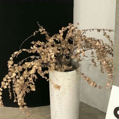 莲湖FurryQQ群介绍